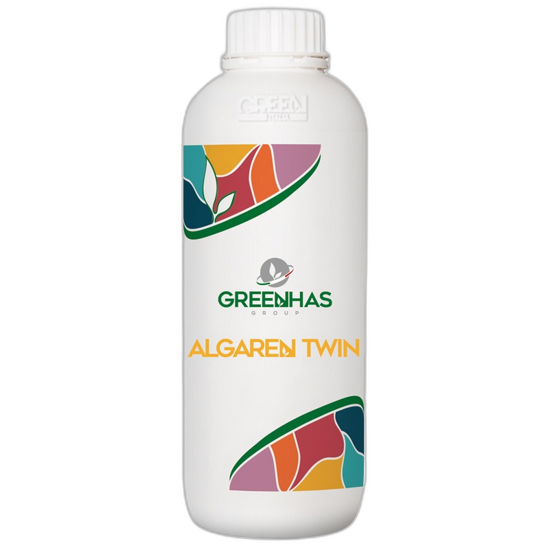 Algaren Twin